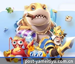 每个板块围绕一个运动项目展开 - 多运动项目内容板块